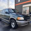ford f150 undefined GOO_NET_EXCHANGE_9571145A30240411W001 image 10