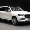 mercedes-benz gls-class 2024 -MERCEDES-BENZ--Benz GLS 7AA-167987--W1N1679871B020***---MERCEDES-BENZ--Benz GLS 7AA-167987--W1N1679871B020***- image 9