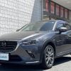 mazda cx-3 2018 -MAZDA--CX-3 6BA-DKEFW--DKEFW-201670---MAZDA--CX-3 6BA-DKEFW--DKEFW-201670- image 19