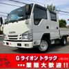 isuzu elf-truck 2019 GOO_NET_EXCHANGE_0730189A30241025W004 image 1