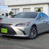 lexus lexus-others 2019 quick_quick_6AA-AXZH10_AXZH10-1008218 image 1