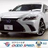 lexus es 2019 CFJ1630096 image 1