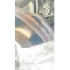 honda n-box 2014 -HONDA--N BOX DBA-JF1--JF1-2227929---HONDA--N BOX DBA-JF1--JF1-2227929- image 5