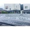 toyota vellfire 2009 CFJ1731604 image 10