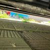suzuki mr-wagon 2010 -SUZUKI--MR Wagon DBA-MF22S--MF22S-322324---SUZUKI--MR Wagon DBA-MF22S--MF22S-322324- image 25
