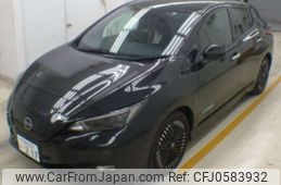 nissan leaf 2022 -NISSAN 【大阪 303ﾌ 217】--Leaf ZAA-ZE1--ZE1-200594---NISSAN 【大阪 303ﾌ 217】--Leaf ZAA-ZE1--ZE1-200594-