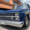 chevrolet c-10 1983 GOO_NET_EXCHANGE_9731103A30240509W001 image 1