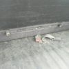 daihatsu hijet-van 2021 -DAIHATSU--Hijet Van S321V--0480827---DAIHATSU--Hijet Van S321V--0480827- image 18
