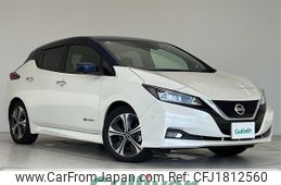 nissan leaf 2021 CFJ1812560
