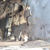 bmw m2 2019 CFJ1576259 image 43