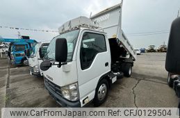 isuzu elf-truck 2010 GOO_NET_EXCHANGE_0404408A30240822W001