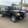 toyota land-cruiser-wagon 1998 CFJ1663640 image 2