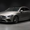 mercedes-benz a-class 2019 -MERCEDES-BENZ--Benz A Class 5BA-177147M--WDD1771472W029213---MERCEDES-BENZ--Benz A Class 5BA-177147M--WDD1771472W029213- image 5