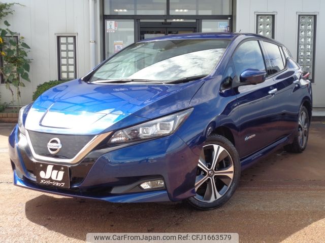 nissan leaf 2020 CFJ1663579 image 1