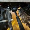 isuzu elf-truck 2014 GOO_NET_EXCHANGE_0610237A30250418W001 image 36