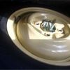 subaru vivio 1993 CFJ1667214 image 16