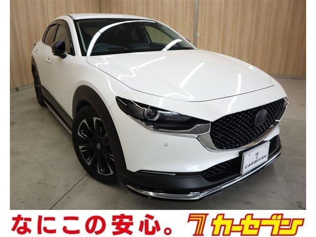 2022 Mazda Cx-3 5BA-DMEP 2WD - Car Price $18,309