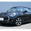 mini mini-others 2020 CFJ1515654 image 1
