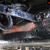 isuzu giga 2006 -ISUZU 【一宮 100ﾊ866】--Giga CXZ52K6--7000101---ISUZU 【一宮 100ﾊ866】--Giga CXZ52K6--7000101- image 7