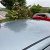dodge charger 2008 -CHRYSLER--Dodge Charger ﾌﾒｲ--[42]81766---CHRYSLER--Dodge Charger ﾌﾒｲ--[42]81766- image 7