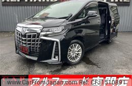toyota alphard 2019 CFJ1510891