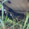 suzuki wagon-r 2017 CFJ1629681 image 18