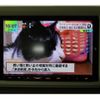 suzuki alto-lapin 2020 -SUZUKI--Alto Lapin HE33S--HE33S-303995---SUZUKI--Alto Lapin HE33S--HE33S-303995- image 18