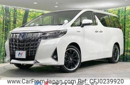 toyota alphard 2019 -TOYOTA--Alphard DAA-AYH30W--AYH30-0074300---TOYOTA--Alphard DAA-AYH30W--AYH30-0074300-