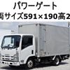 isuzu elf-truck 2008 GOO_NET_EXCHANGE_0602526A30250519W002 image 1