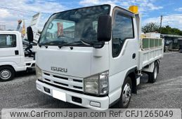 isuzu elf-truck 2008 GOO_NET_EXCHANGE_0805007A30250609W001