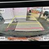 toyota vellfire 2019 -TOYOTA--Vellfire DAA-AYH30W--AYH30-0081161---TOYOTA--Vellfire DAA-AYH30W--AYH30-0081161- image 8