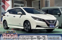 nissan leaf 2020 GOO_JP_700060017330250724013