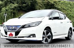 nissan leaf 2019 CFJ1694511
