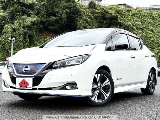 nissan leaf 2019 CFJ1694511 image 1
