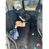 daihatsu thor 2019 CFJ1832199 image 19