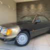 mercedes-benz m-class 1992 quick_quick_E-124051_WDB124051-1B633326 image 11