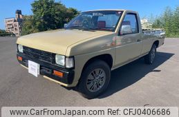 nissan dutsun-truck 1993 GOO_JP_700080342430241104001