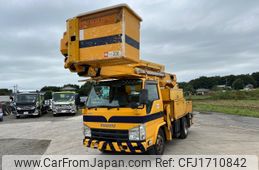 isuzu elf-truck 2010 CFJ1710842