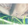honda fit 2013 CFJ1558645 image 28