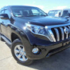 toyota land-cruiser-prado 2014 DAN0053 image 4