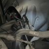 toyota supra 2019 quick_quick_DB82_DB82-0021598 image 5