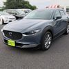 mazda cx-3 2023 CFJ1628882 image 9
