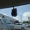 daihatsu move-canbus 2020 CFJ1049591 image 10
