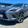 lexus nx 2019 CFJ1508348 image 13