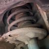 toyota noah 2019 quick_quick_ZRR80W_ZRR80-0584920 image 20