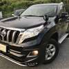 toyota land-cruiser-prado 2009 CFJ2675179 image 2