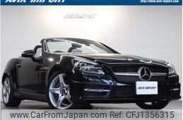 mercedes-benz slk-class 2011 quick_quick_172448_WDD1724482F019263