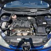 peugeot 206 2005 BD30033A3829 image 29