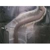 nissan note 2020 -NISSAN--Note E12-644477---NISSAN--Note E12-644477- image 13