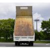 isuzu elf-truck 2020 GOO_NET_EXCHANGE_0208594A30250525W001 image 5